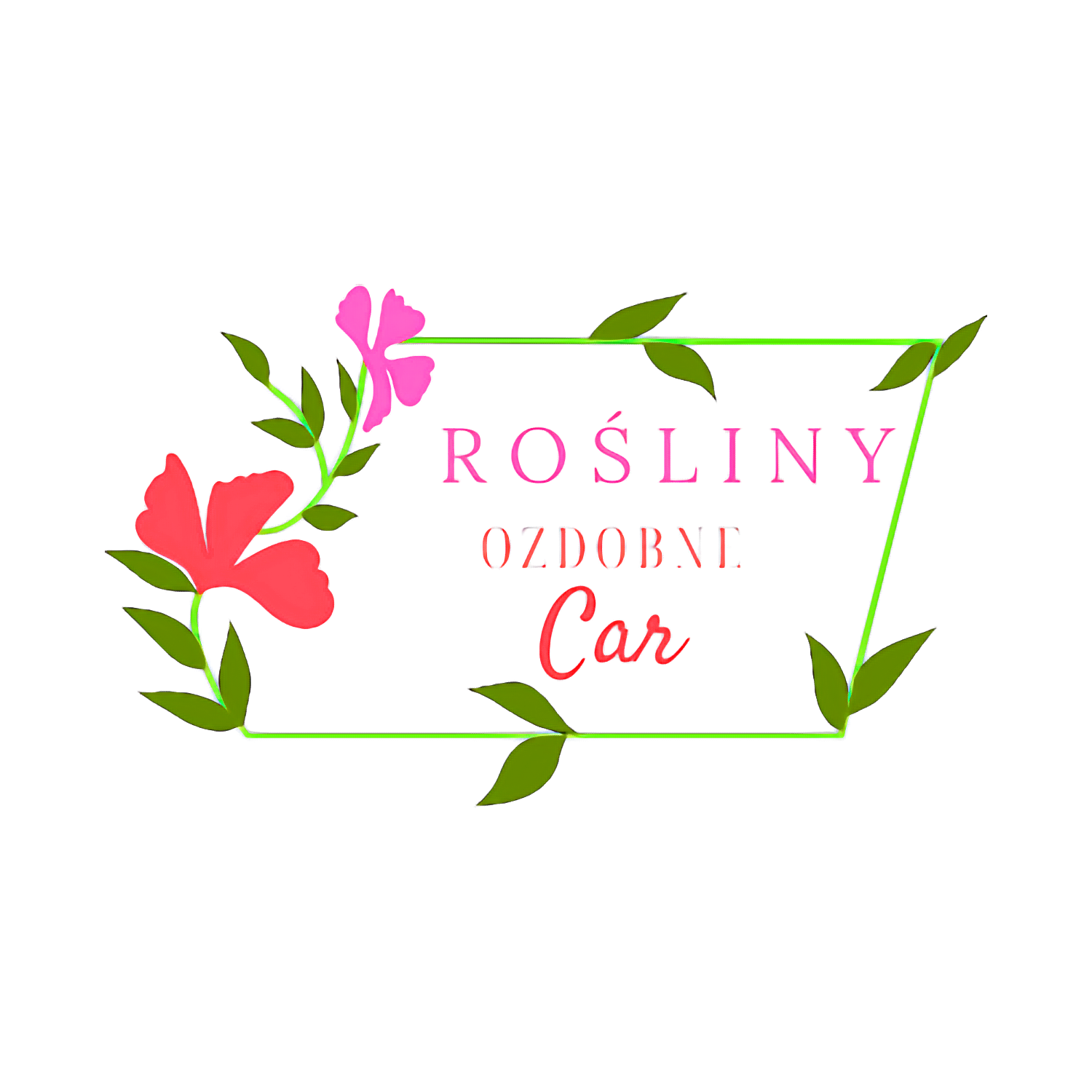 Kacper Ksykiewicz Fotograf Zamość